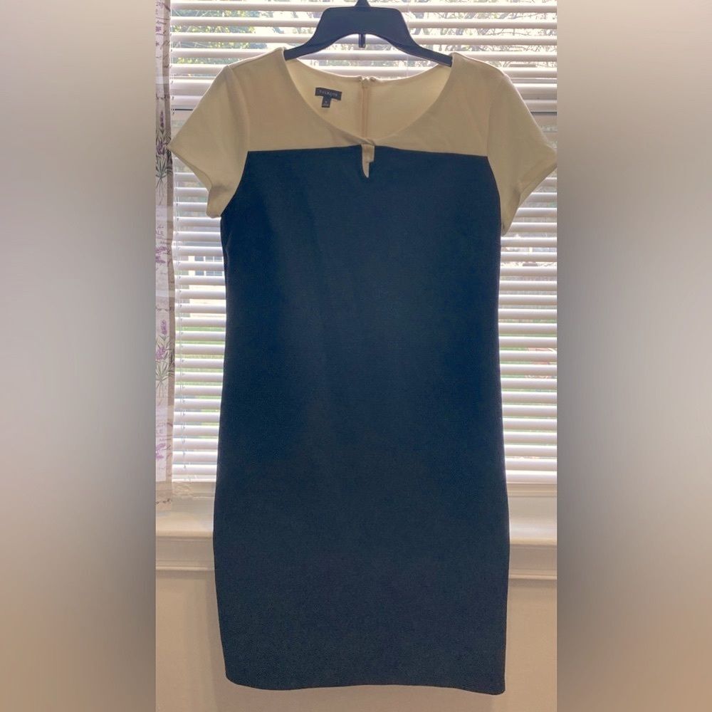 Talbots Blue and Crème Dress 6